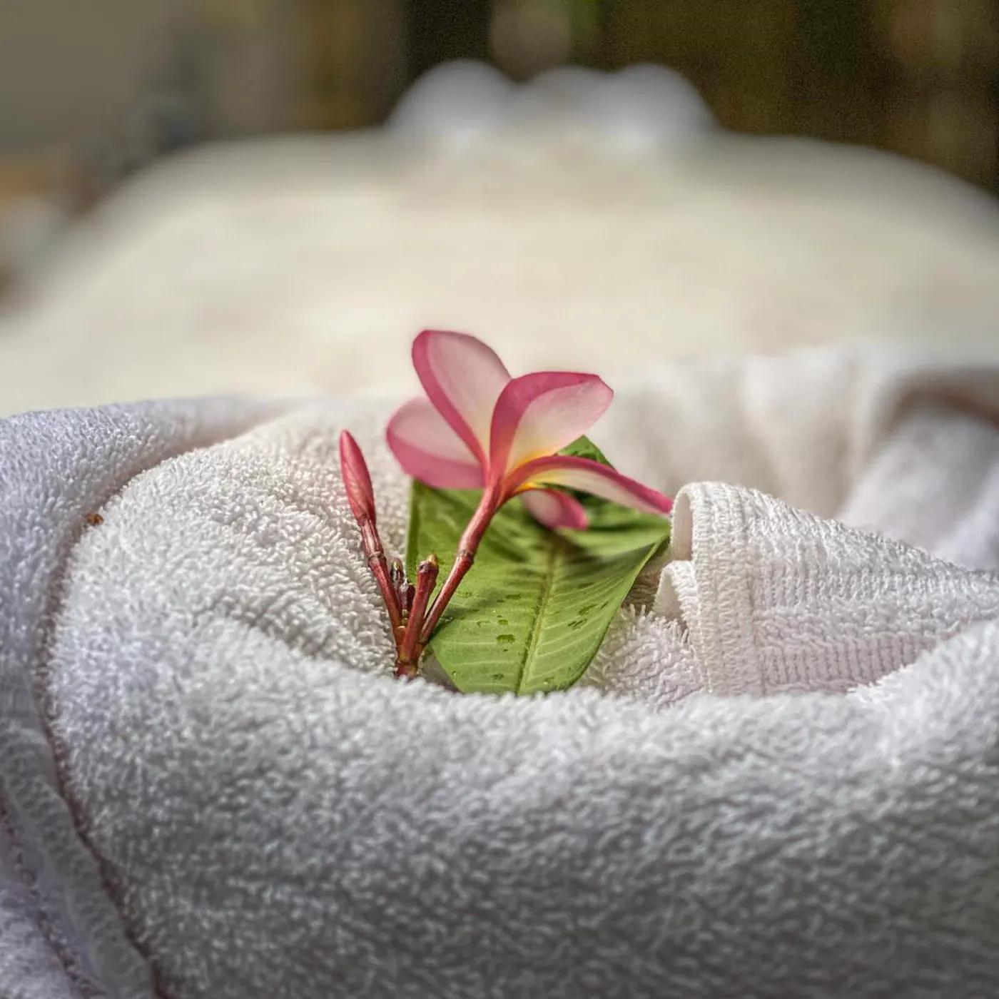 African spa treatment room